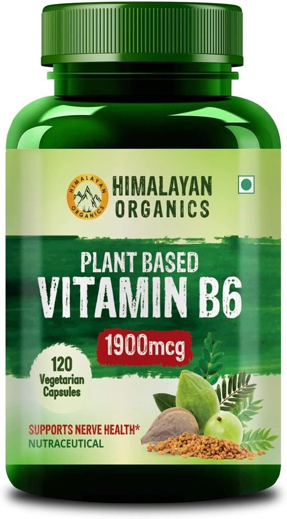 Vitamine B6 op basis van planten ondersteunt Immuniteit, Brain Health (120 capsules)