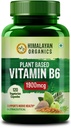 Vitamine B6 op basis van planten ondersteunt Immuniteit, Brain Health (120 capsules)