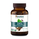 Himalaya Biologische Mucuna Pruriens, 60 dagen levering - kruidensupplement voor het kalmeren ontspannen van spanning en het bevorderen van hersenfunctie - Veganistisch, niet-GMO, glutenvrij, 600 mg, 60 capletten
