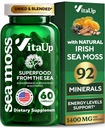Wildcrafted Irish Sea Moss Capsules with Burdock Root & Bladderwrack - USA Made Sea Moss Advanced for Hair, Skin, Immune & Energy Levels Support - SeaMoss Pillen - 60 Vegan Capsules