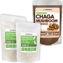 XPRS Nutra gescheiden grootte 0 capsules (1000 aantal) met Chaga poeder (8 Ounce) bundel