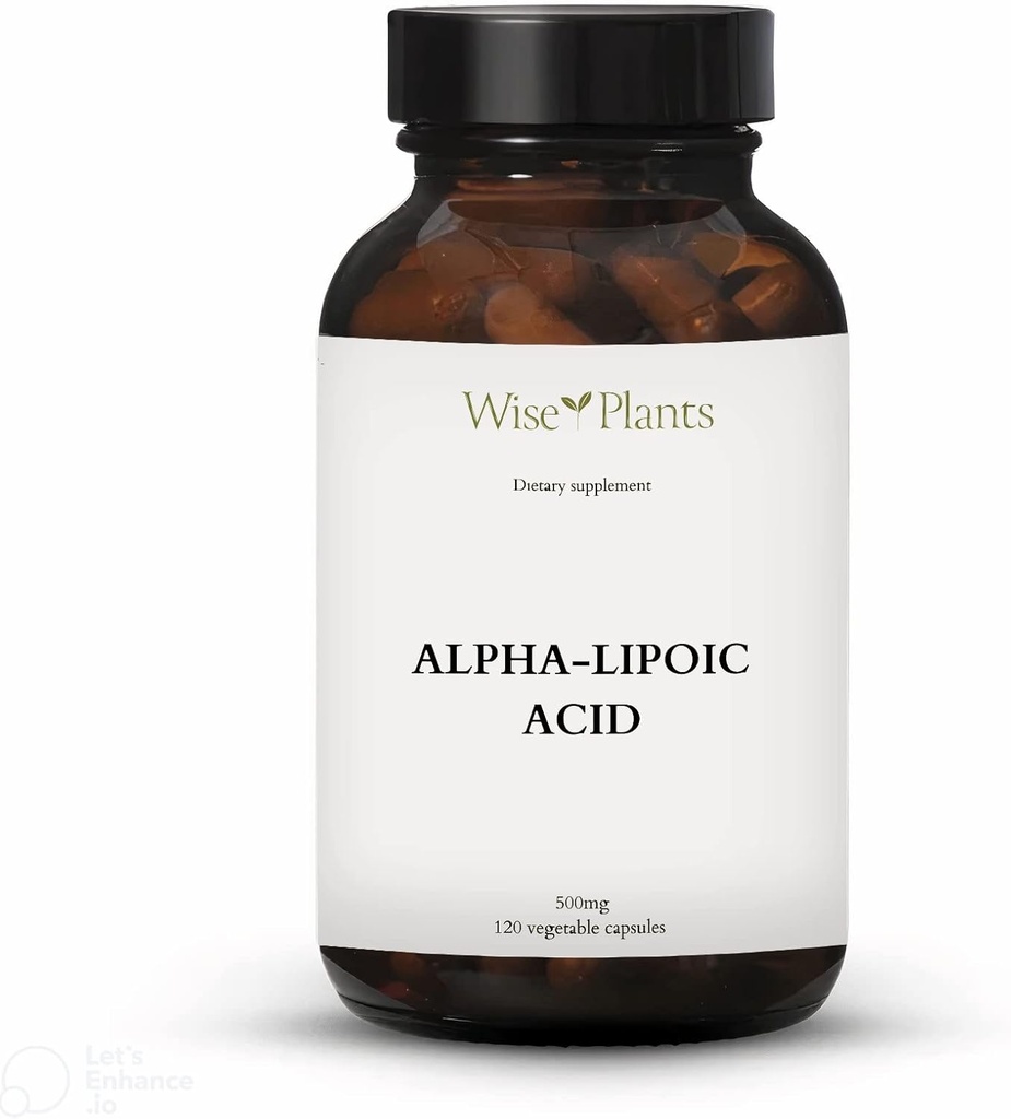 Alpha-Lipoïnezuur - Non-GMO - 500mg, 120 porties (4 maanden Levering), Energieniveaus, Mitochondria Ondersteuning