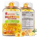 Gember Kauwt Gummies voor Misselijkheid & Digestieve Ondersteuning, Maag Relief - Suikervrij met Kurkuma & Odorless Knoflook, Quercetine, Vitamine D3, C, Delicious Digestieve Supplementen, 60Cts (pakket van 1)
