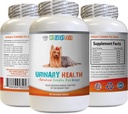 Dog Urinary Incontinence - Dog Urinary Health Formula - Helps with Incontinence and Bladder Issues - Immune Boost - Corn Silk Capsules for Dogs - 1 Bottle (90 Treats)