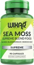 Biologische Sea Moss Capsules - Bladderwrak met Burdock Root Capsules - Ierse Seamoss Pillen - Sterker dan Sea Moss Gel - Dr Sebi Inspired - Raw Sea Moss Powder - Irish Moss (90 Caps)
