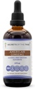 Secrets of the Tribe American Ginseng Tinctuur Alcoholvrij Liquid Extract, Farm Grown American Ginseng (Panax Quinquefolius) Gedroogde Wortel (4 FL OZ)