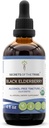 Geheimen van de Stam Zwarte Vlierbes Alcoholvrije Tinctuur (Glycerite) 680 mg USDA Biologische Zwarte Vlierbes (Sambucus Nigra) Gedroogde Bessen (4 Fl Oz) Immune Ondersteuning Supplement