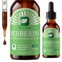 Berberine HCL Supplement met Ceylon Cinnamon - Liposomal Berberine Phytosome Liquid Drops met Kurkuma, Ceylon Cinnamon, Bitter Melon, Milk Thistle, AMPK Activator voor Digestie Ondersteuning