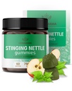HERBAMAMA Stingerende Netel Gummies - 7500mg Sting Nettle Root Extract voor Urinaire Tract Ondersteuning voor vrouwen & Mannen - Veganistisch, niet-GMO Urtica Dioica Supplement - 60 Pectine-gebaseerde appel-gearomatiseerde kauwgom