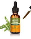 Herb Pharm Chanca Piedra Liquid Extract Drops for Urinary System Support, 1 Oz