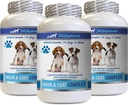 Anti-inflammatoire voor honden - Hondenhaar en jas Complex - Itch Relief - Immune Support - Vitaminen en mineralen - Honden Vitamine e Supplement - 3 flessen (180 Treats)