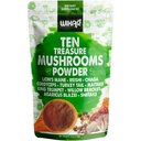 Wixar Paddestoelen Poeder - Tien Schat Paddenstoelen Extract supplement Mengen voor koffie & Smoothies - Lions Mane, Turkije Tail, Reishi, Chaga, Shiitake, Cordyceps, Complex - 4oz Paddestoelensupplement