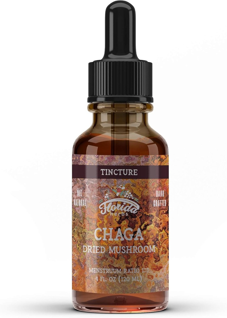 Chaga Tinctuur, Wild Geoogst Chaga Extract (Inonotus obliquus) Gedroogde paddo
