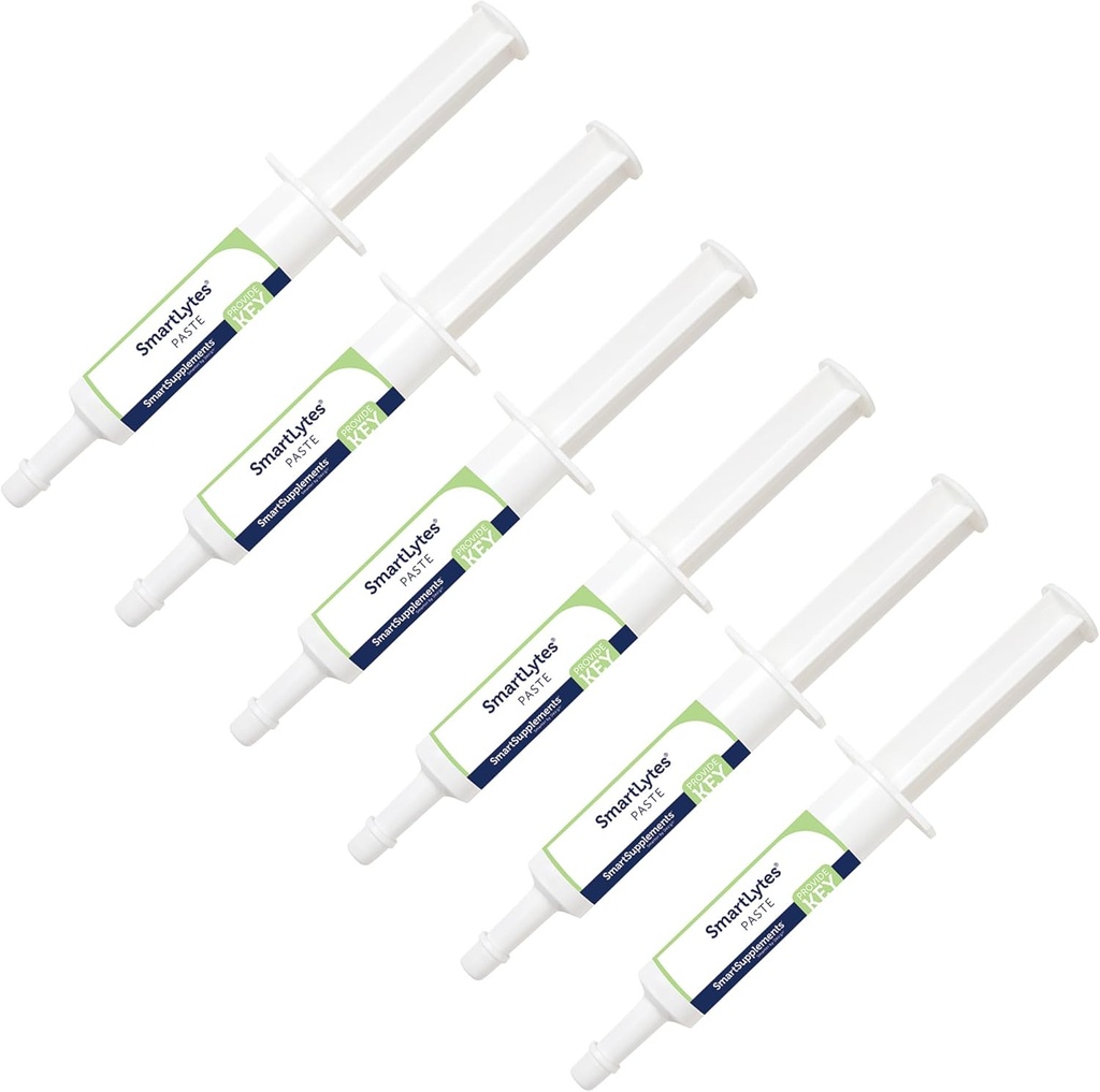 SmartLytes Plakken Horse Electrolyte Plakken 