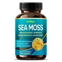 Premium Sea Moss with Ashwagandha, Burdock Bladderwrack, Black Seed for Immune System, Skin, Digestion & Energy (150 Count (Pack of 1))