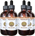 Prostaat Support Dieetsupplement: Pygeum (Pygeum Africanum) Bark, Saw Palmetto (Serenoa Repens) Berry, Stinging Nettle (Urtica Dioica) Blad Tinctuur (Alcohol-gebaseerde Liquid Extract) 4x4 oz