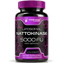 Nattokinase Supplement Capsules 5000 FU, Third-Party Tested Nattokinase – Enzymes from Japanese Natto – Daily Wellness Support – 120 Count (Pack of 1)