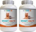 Hondenblaas Pillen - Hond Urinaire Gezondheid Formule - Helpt met Incontinentie en Blaas Problemen - Immune Boost - Honden Urinaire Gezondheid - 2 Flessen (180 Treats)