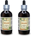 Psyllium (Plantago Ovata) Tincture, Organic Dried Seed Liquid Extract (Brand Name: HerbalTerra, Proudly Made in USA) 2x4 fl.oz (2x120 ml)