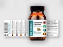 DR WAKDE'S Cardamom Capsules (60 Veg Caps, Plant-Based Supplement, Ayurvedic Herb, All Natural, Vegan)