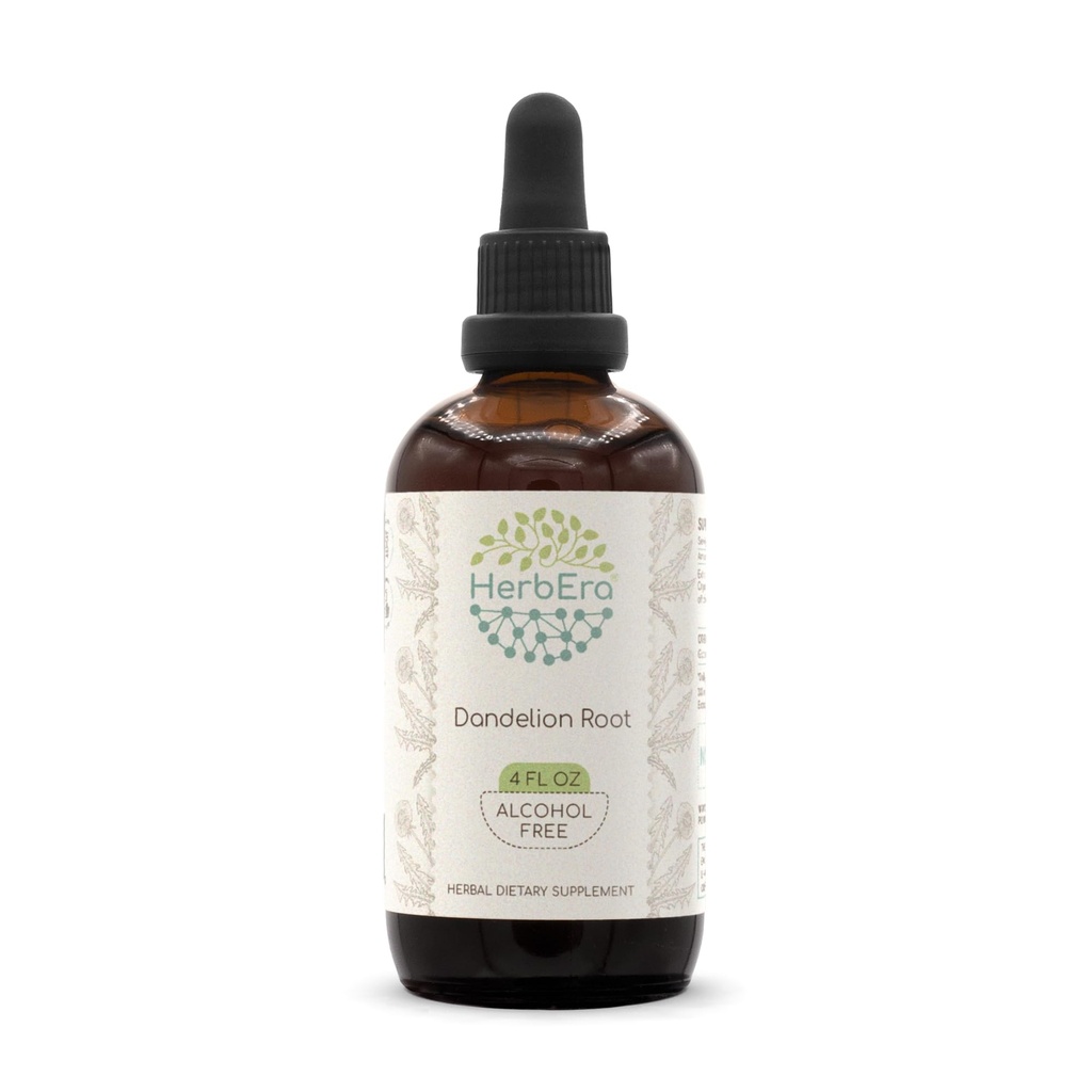 HerbEra Dandelion Root B120 Alcoholvrije kruidenextract Tinctuur, supergeconcentreerde paardenbloem (Taraxacum Officinale) Gedroogde Wortel (4 fl oz)