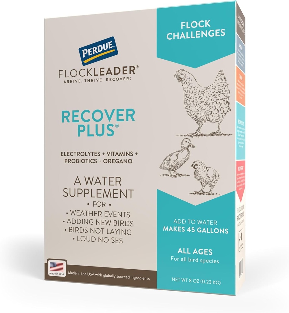 Herstellen Plus Matige Stress Probiotische Water Supplement voor Kippen met Elektrolyten & Oregano, 8 oz