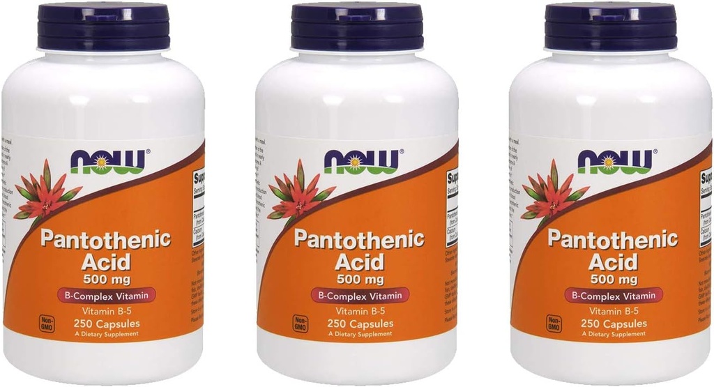 NOW Foods Pantothenic Acid 500 mg, 250 Capsule (3 verpakkingen)