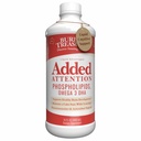 Begraven schat - Toegevoegde aandacht - Ondersteuning voor het leren van kinderen met GABA DHA vitamine B en kruidenmix - Hulp gezonde hersenen functies - Verbeterde korte termijn auditie geheugen focus & gedrag 16.54 oz