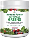 Vernieuw uw Wellness Biologische Groenen en Rooden Superfood Poeder voor een levendige gezondheid