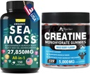 Sea Moss & Createine Monohydrate Gummies Bundle 270 Tellen Biologische Sea Moss Black Seed Oil Aşhwagandha Gember & Createine Monohydraat (2 Pack)