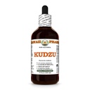 Hawaii Pharm Kudzu Alcoholvrije Extract, Glycerite voor lever Wellness, bevordert de hartfunctie, ondersteunt cardiovasculaire balans, beschermt de lever tegen oxidatieve schade, kalmeert hoofdspanning - 4 fl.oz