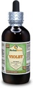 Violet (Viola Yedoensis) Gedroogde kruiden Alcoholvrije vloeibare Extract (Brand Name: HerbalTerra, Trots Made in USA) 4 oz