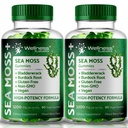 WELLNESS LABSRX Sea Moss Gummies, 3200mg Irish Sea Moss Mixed Berry Flavor with Maximum Potency Bladderwrack and Burdock Root - Ondersteunt huid, energie en immuniteit - 180 Tel.