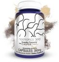 Nootropics Depot Boswellia Phytosome Capsules 