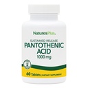 NaturesPlus Pantothenic Acid, Sustained Release - 1000 mg, 60 tabletten - High-Potency Vitamine B5 Supplement - Vegetarisch, Glutenvrij - 60 porties
