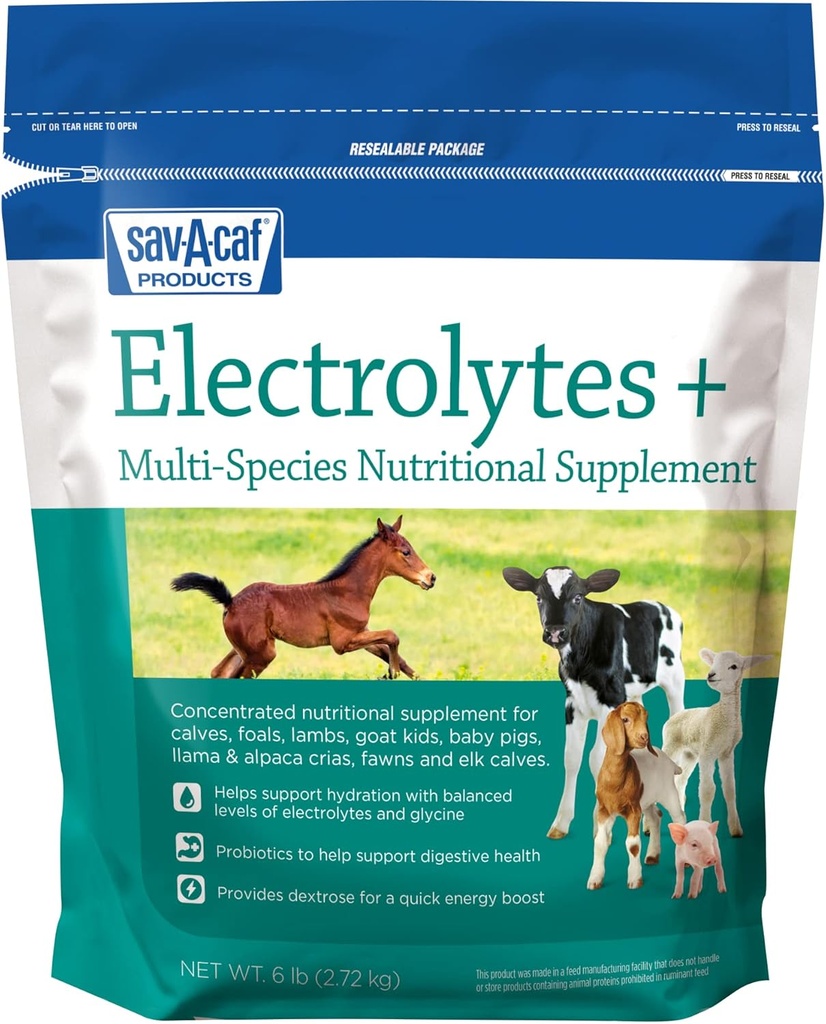 Sav-a-Caf Electrolytes PlusTM Supplement 