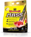 MAMMOTH Mass: Gewicht Gainer, Hoge Calorie Proteïne Poeder workout Smoothie Shake, Maaltijd Vervanging, Lage Suiker, Wei Isolaat Concentraat, Caseïne Proteïne Blend, Hoog Proteïne (Strawberry, 5lb)