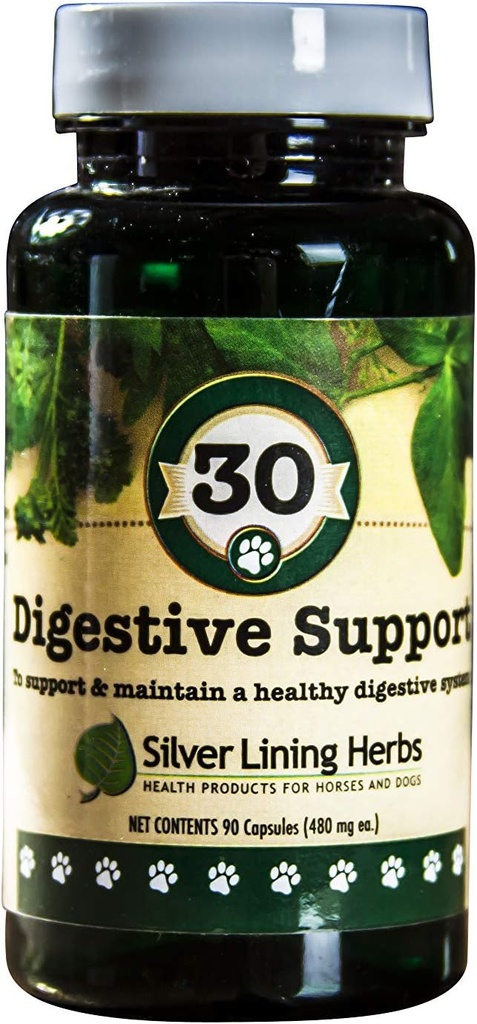 Silver Lining Herbs Hondenverteringsondersteuning Hond Supplementen voor gezonde spijsvertering en Gut Functie - Natuurlijke Kruiden Blend Honden Vitaminen met Slippery Elm Bark, Ginger & Meer 90 Capsules