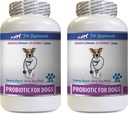 Hondenademverzorging - PROBIOTICS voor honden - Gezond Gut - Stop gas Diarree en slechte adem - Digestieve Boost - Hondenprobiotica voor Puppies - 2 flessen (120 Treats)