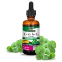 Antwoord Gotu-Kola Herb 2 OZ