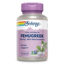 SOLARAY Fenugreek Seed Extract 700 mg - Fenugreek Capsules with 65% Galactomannan Dietary Fiber - Non-GMO, Vegan Fenugreek Supplement for Healthy Digestion Support - 45 Servings, 90 VegCaps