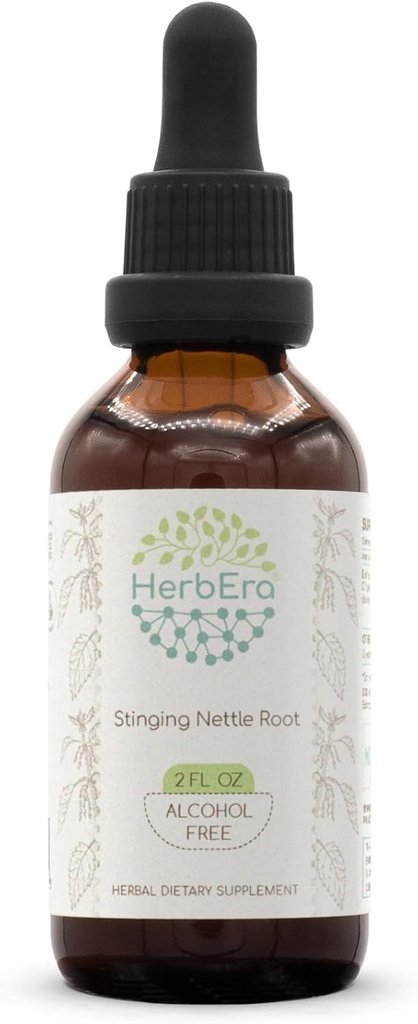 HerbEra Stinging Nettle Root B60 Alcoholvrije Kruidenextract Tinctuur, Geconcentreerde Liquid Drops Natural Stinging Nettle (Urtica Dioica) 2 fl oz