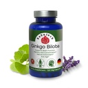 Ginkgo Biloba, Geheugen, Focus & Hersenfunctieondersteuning, Antioxidant-Rijk, Plant-Based, GMP, Herbal Nootrope Vegetarische Capsules, 120 Tellen (Terug van 1)