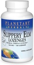 Planetaire kruiden Slippery Elm Aardbei Lozen, Herbal Throat Support, 100 Lozenge