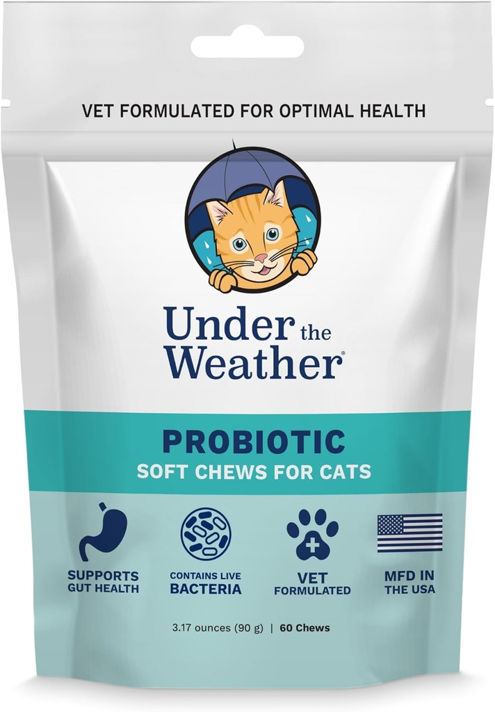 Onder het weer Huisdier Probiotische Kauwen voor Katten Bevordert normale spijsvertering, Balances gezonde Gut Health 