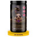 Undergound Bio Labs: Panda Supps Pandamic, Extreme Pre Workout voor maximale prestaties, pomp en focus (40 scoops) (Grape Bubblegum)