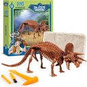Geoworld Triceratops Dino Dig Kit Verzamel een 8-inch Authentieke Dinosaurus Skeleton Model 