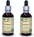 Grindelia (Grindelia Camporum) Tinctuur, gedroogd Herb Liquid Extract (Grote naam: HerbalTerra, Trots Made in USA) 2x2 fl.oz (2x60 ml)