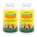 Natures Plus Bron van het leven Volwassenen Kauwbaar, Apple Kaneel - 90 Wafers, Pack of 2 - Multi-Vitamine & Mineraal Supplement - Glutenvrij, Vegetarisch - 90 TotaalDiensten