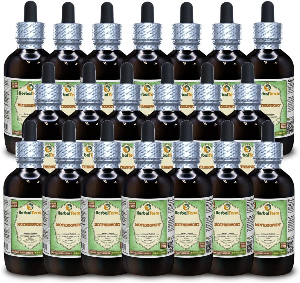 Motherwort (Leonurus Cardala) Glycerite, biologisch gedroogd kruiden Alcoholvrije vloeistof Extract (Grote naam: HerbalTerra, Trots gemaakt in USA) 20x4 f.oz (20x120 ml)